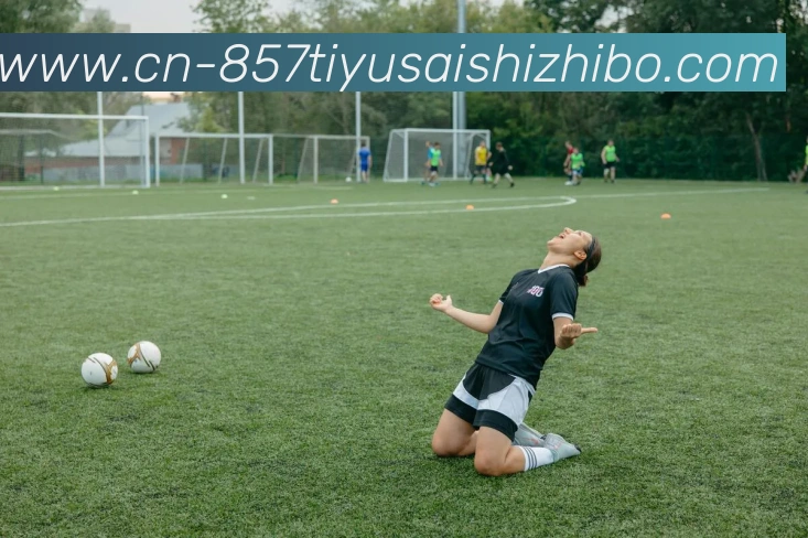 857体育赛事直播平台生态图